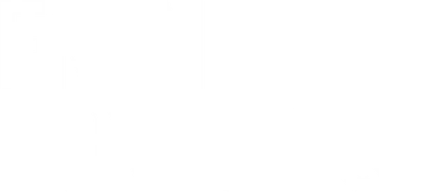 Fran Bortolossi